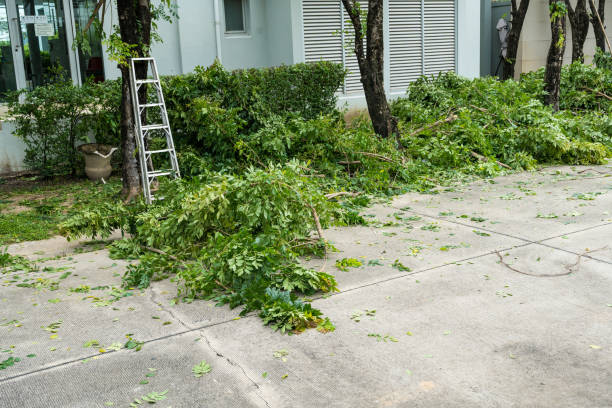 Best Pest Control for Lawns  in Catonsville, MD